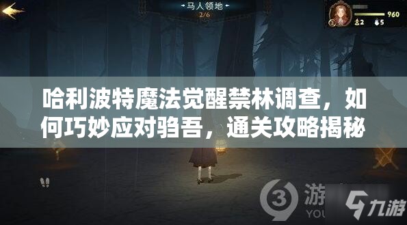 哈利波特魔法觉醒禁林调查，如何巧妙应对驺吾，通关攻略揭秘？