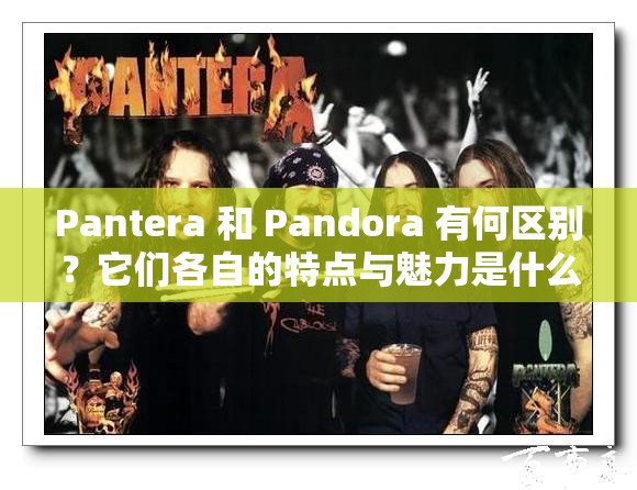 Pantera 和 Pandora 有何区别？它们各自的特点与魅力是什么？