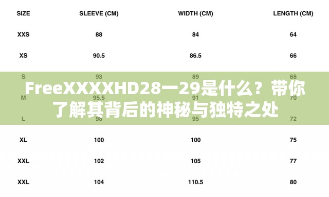 FreeXXXXHD28一29是什么？带你了解其背后的神秘与独特之处