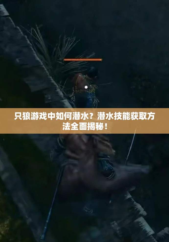 只狼游戏中如何潜水？潜水技能获取方法全面揭秘！