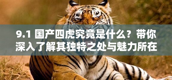 9.1 国产四虎究竟是什么？带你深入了解其独特之处与魅力所在