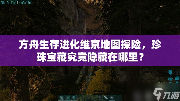 方舟生存进化维京地图探险，珍珠宝藏究竟隐藏在哪里？