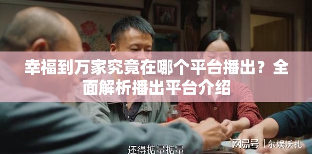 幸福到万家究竟在哪个平台播出？全面解析播出平台介绍
