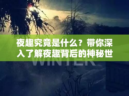 夜趣究竟是什么？带你深入了解夜趣背后的神秘世界与独特魅力