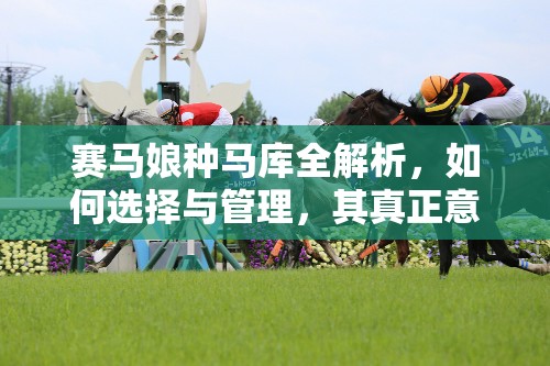 赛马娘种马库全解析，如何选择与管理，其真正意义何在？
