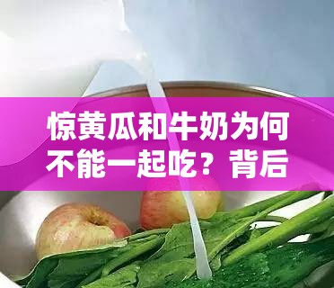 惊黄瓜和牛奶为何不能一起吃？背后原因大揭秘探秘：黄瓜和牛奶不能一起吃的缘由究竟是什么？为何说黄瓜和牛奶不能一起吃？真相令人意想不到