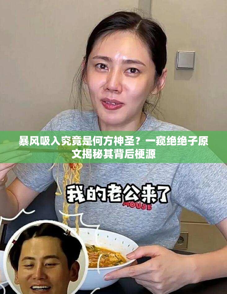 暴风吸入究竟是何方神圣？一窥绝绝子原文揭秘其背后梗源