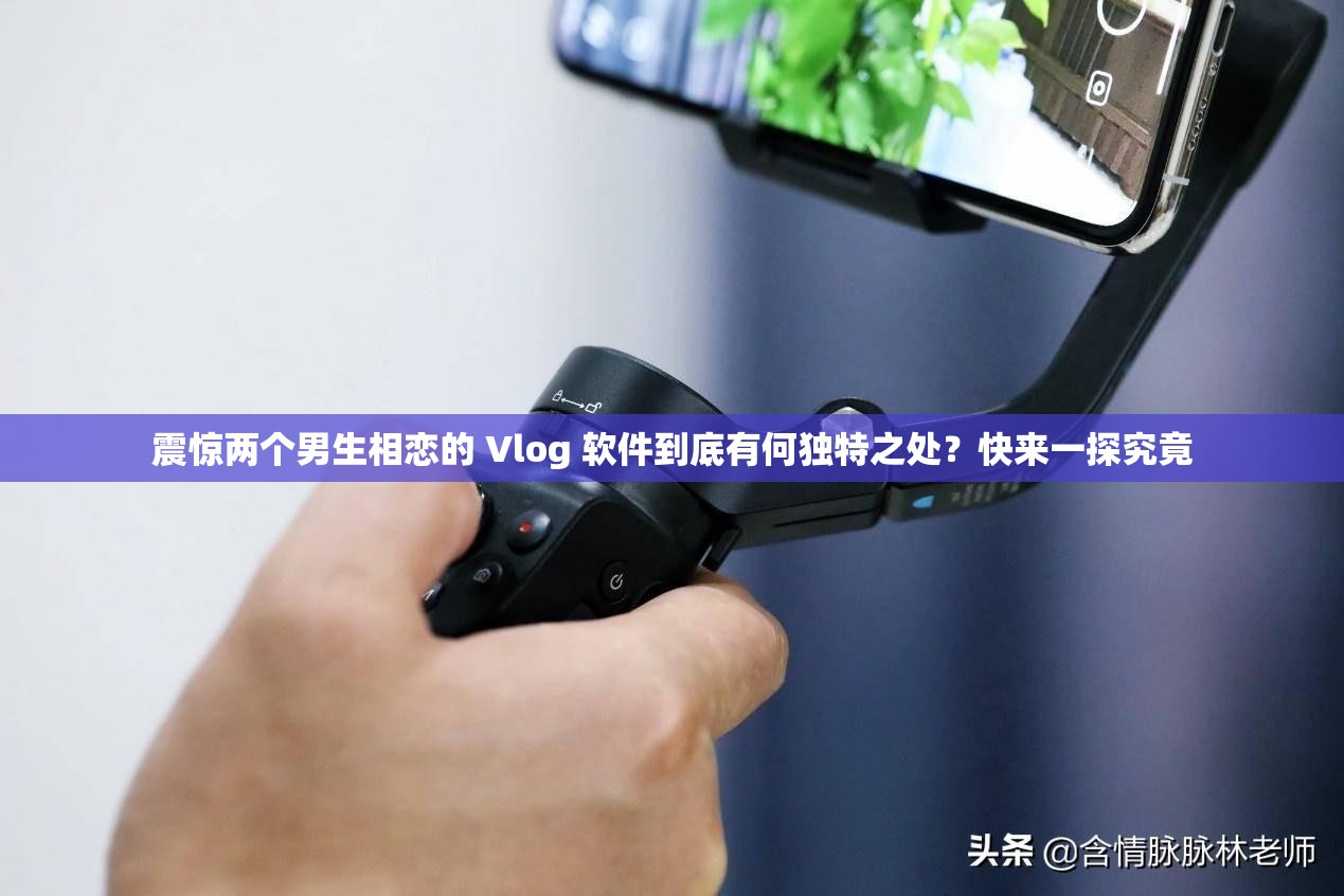 震惊两个男生相恋的 Vlog 软件到底有何独特之处？快来一探究竟