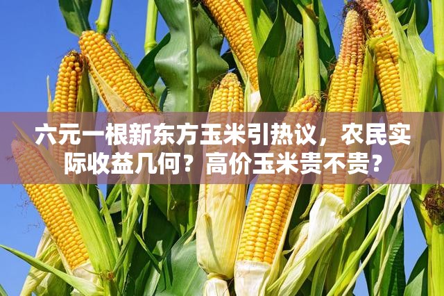 六元一根新东方玉米引热议，农民实际收益几何？高价玉米贵不贵？