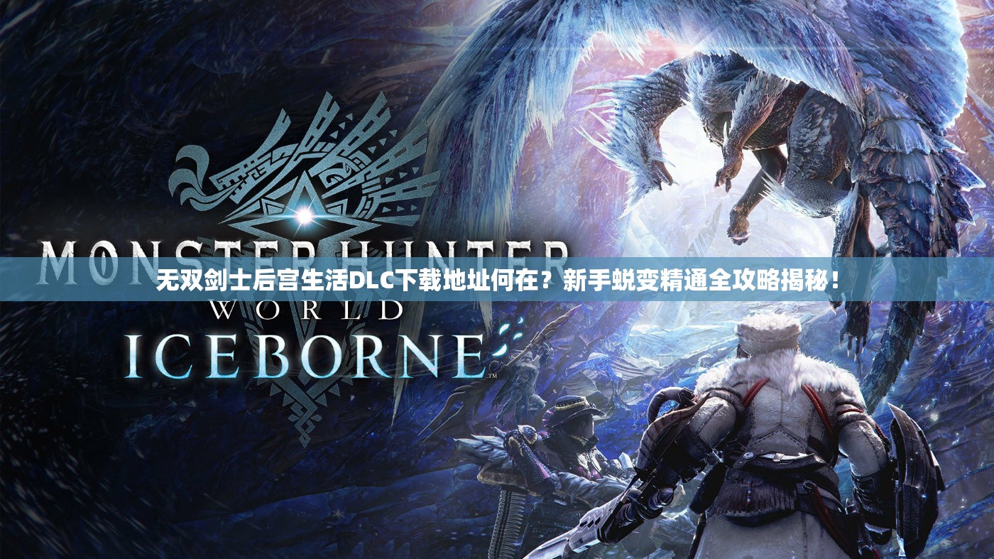 无双剑士后宫生活DLC下载地址何在？新手蜕变精通全攻略揭秘！