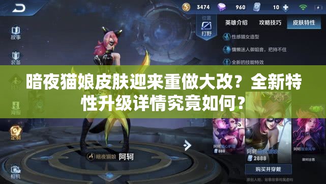 暗夜猫娘皮肤迎来重做大改？全新特性升级详情究竟如何？