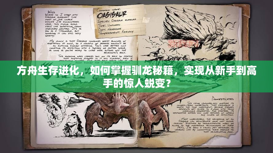 方舟生存进化，如何掌握驯龙秘籍，实现从新手到高手的惊人蜕变？