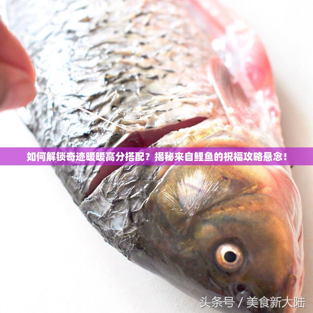 如何解锁奇迹暖暖高分搭配？揭秘来自鲤鱼的祝福攻略悬念！