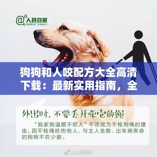 狗狗和人咬配方大全高清下载：最新实用指南，全面解析狗狗与人咬伤处理方案
