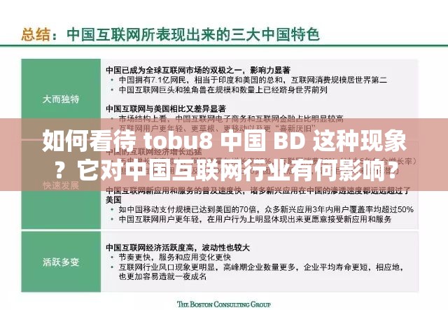 如何看待 tobu8 中国 BD 这种现象？它对中国互联网行业有何影响？