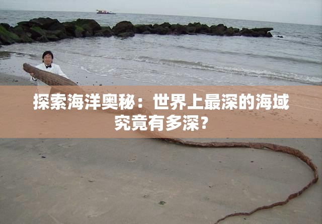 探索海洋奥秘：世界上最深的海域究竟有多深？