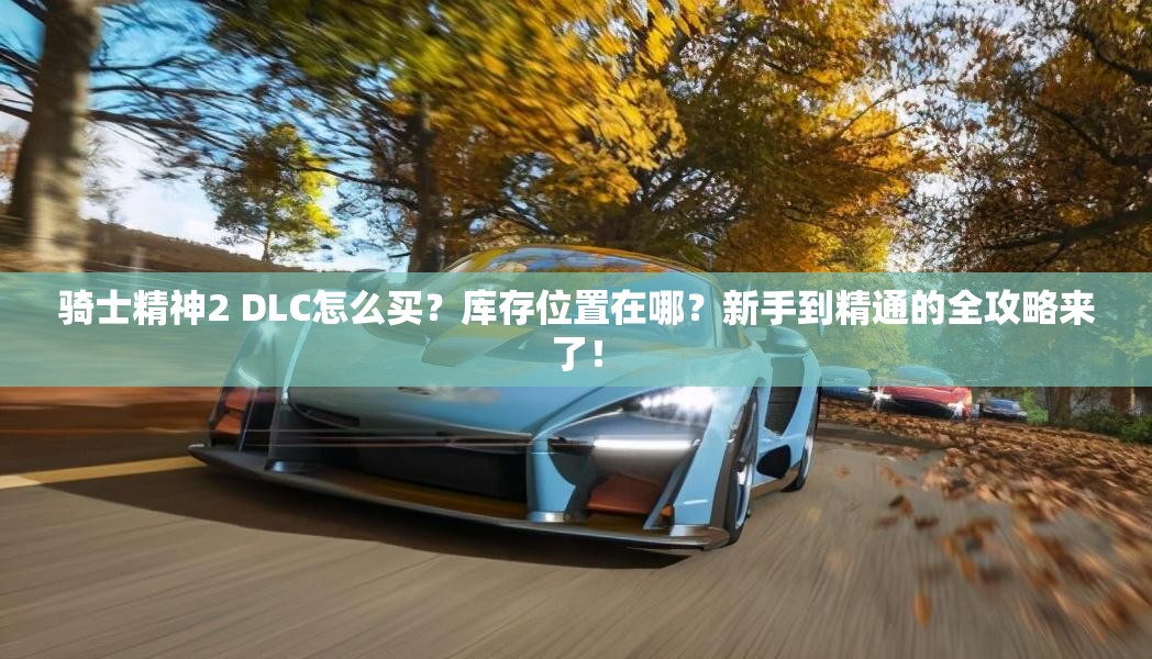 骑士精神2 DLC怎么买？库存位置在哪？新手到精通的全攻略来了！