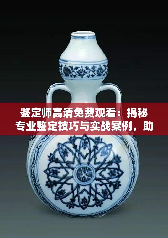 鉴定师高清免费观看：揭秘专业鉴定技巧与实战案例，助你轻松掌握鉴定真伪的秘诀