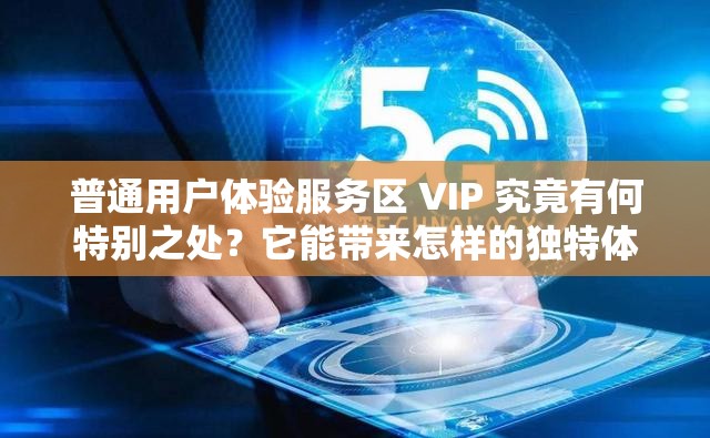 普通用户体验服务区 VIP 究竟有何特别之处？它能带来怎样的独特体验？