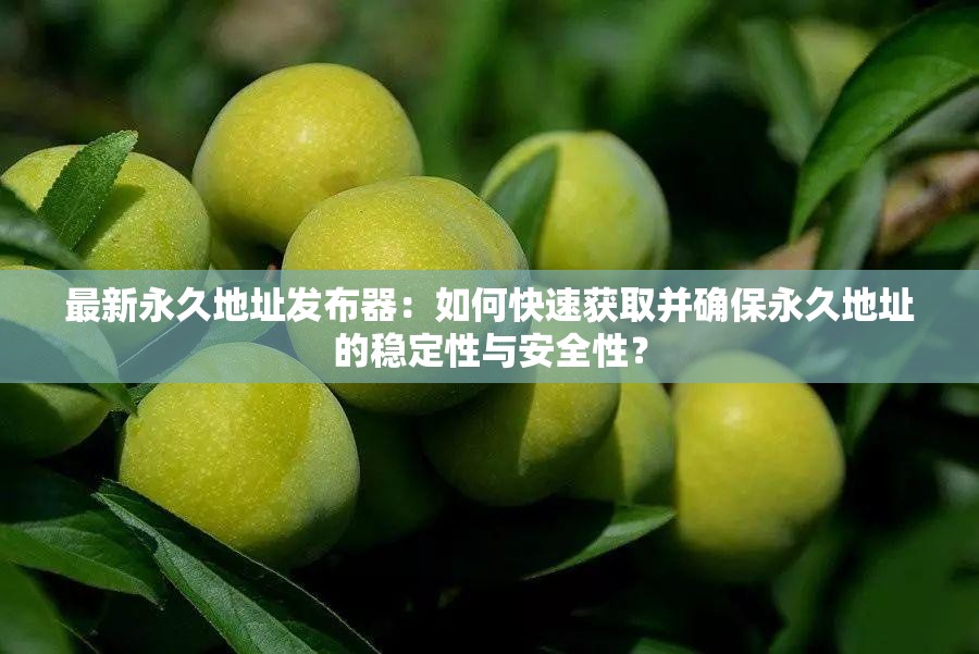 最新永久地址发布器：如何快速获取并确保永久地址的稳定性与安全性？