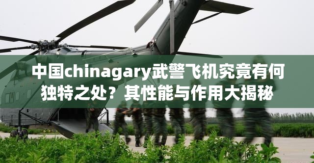 中国chinagary武警飞机究竟有何独特之处？其性能与作用大揭秘