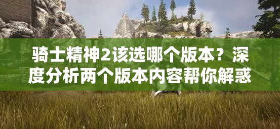 骑士精神2该选哪个版本？深度分析两个版本内容帮你解惑