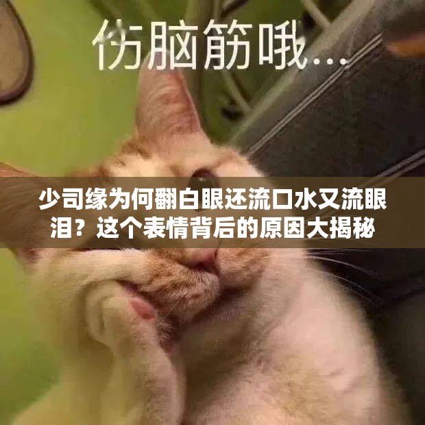 少司缘为何翻白眼还流口水又流眼泪？这个表情背后的原因大揭秘