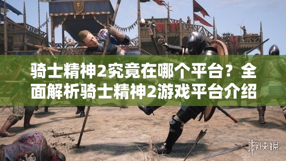 骑士精神2究竟在哪个平台？全面解析骑士精神2游戏平台介绍
