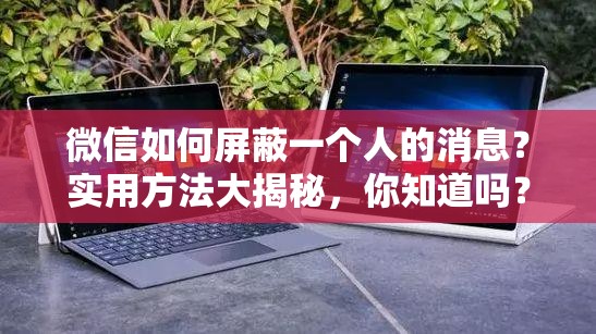 微信如何屏蔽一个人的消息？实用方法大揭秘，你知道吗？微信中怎样屏蔽一个人的消息？快来学习这些简单有效的技巧想在微信屏蔽一个人的消息？不知道方法？这里详细解答