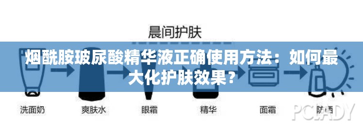 烟酰胺玻尿酸精华液正确使用方法：如何最大化护肤效果？