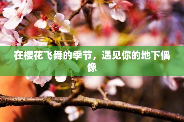 在樱花飞舞的季节，遇见你的地下偶像