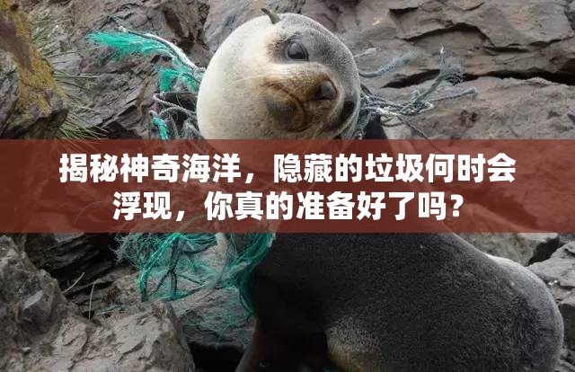 揭秘神奇海洋，隐藏的垃圾何时会浮现，你真的准备好了吗？