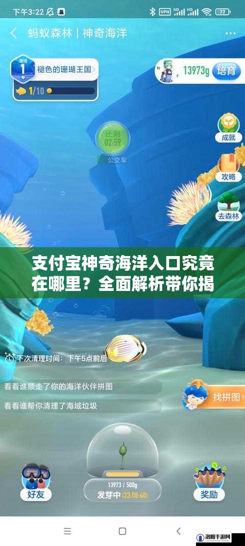 支付宝神奇海洋入口究竟在哪里？全面解析带你揭秘！