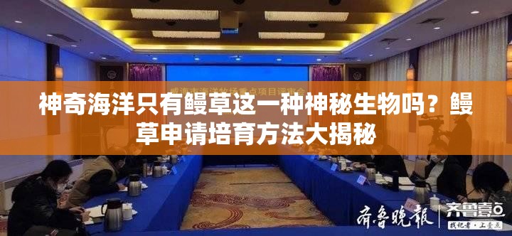 神奇海洋只有鳗草这一种神秘生物吗？鳗草申请培育方法大揭秘