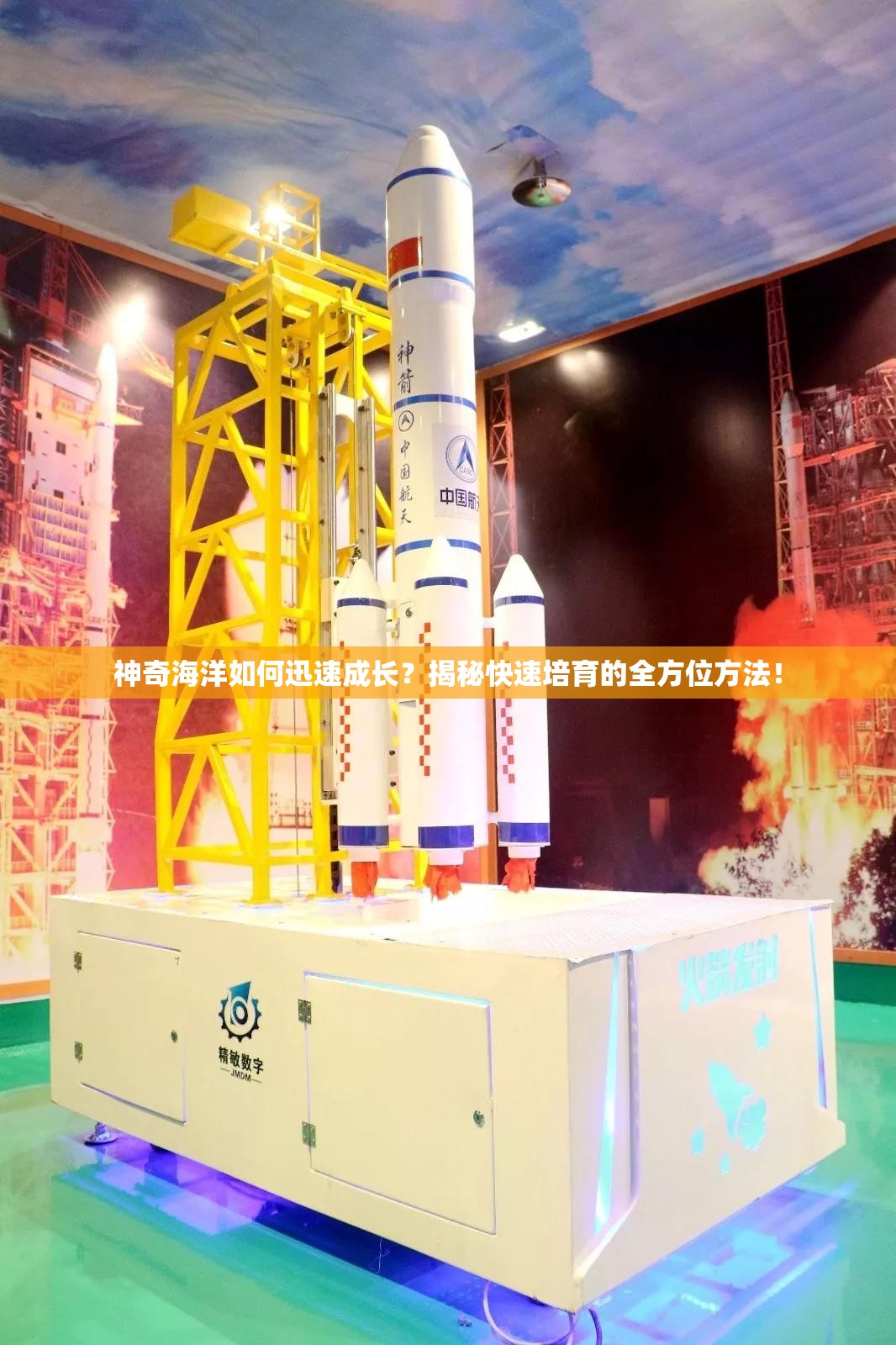 神奇海洋如何迅速成长？揭秘快速培育的全方位方法！