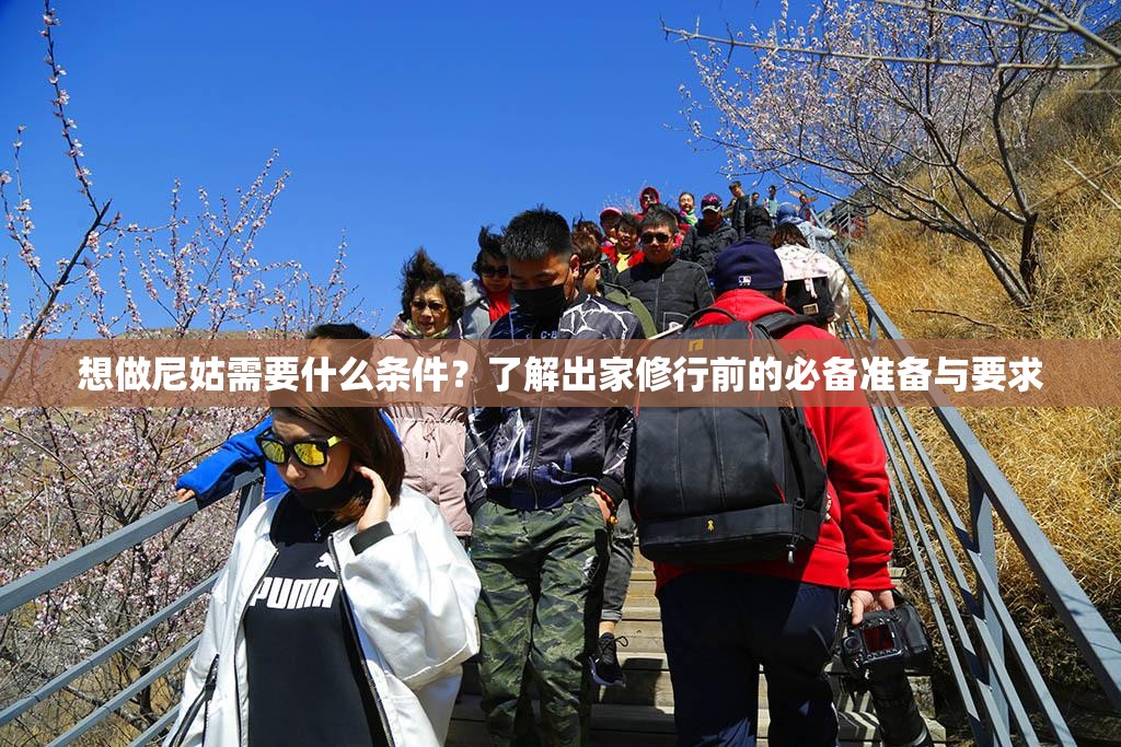 想做尼姑需要什么条件？了解出家修行前的必备准备与要求