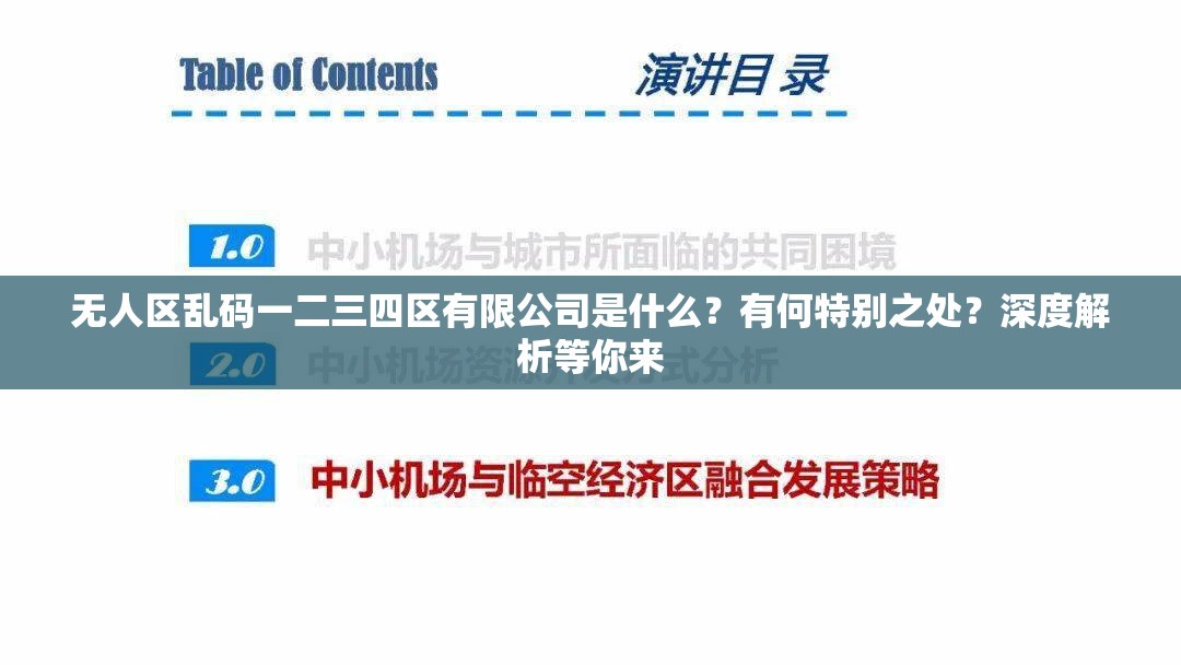 无人区乱码一二三四区有限公司是什么？有何特别之处？深度解析等你来