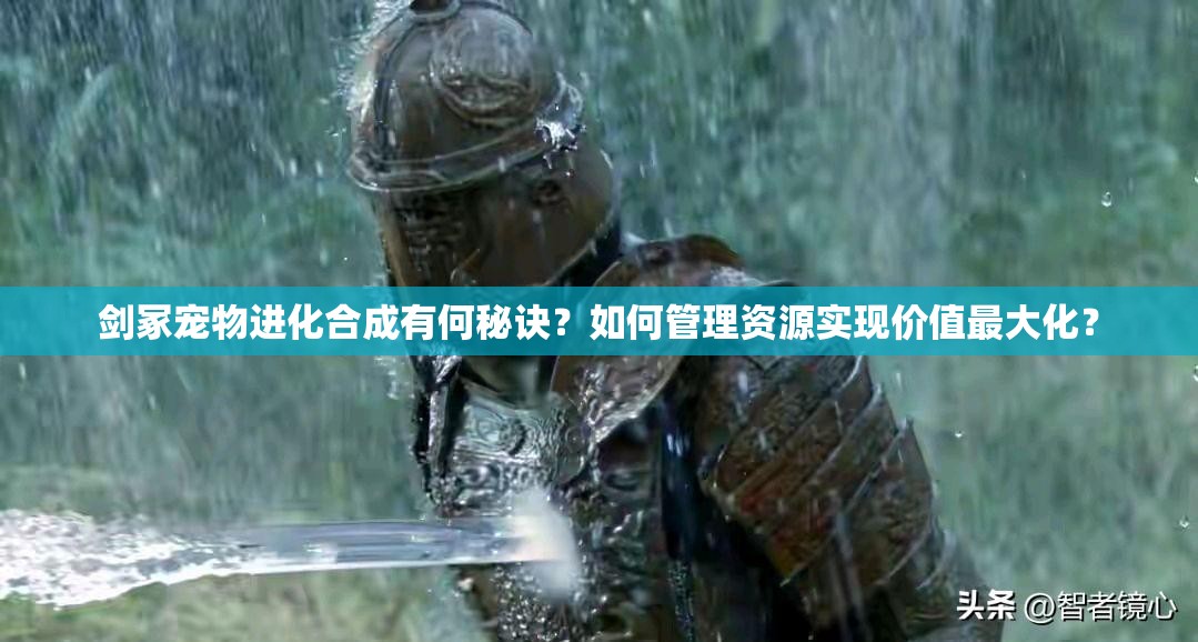 剑冢宠物进化合成有何秘诀？如何管理资源实现价值最大化？