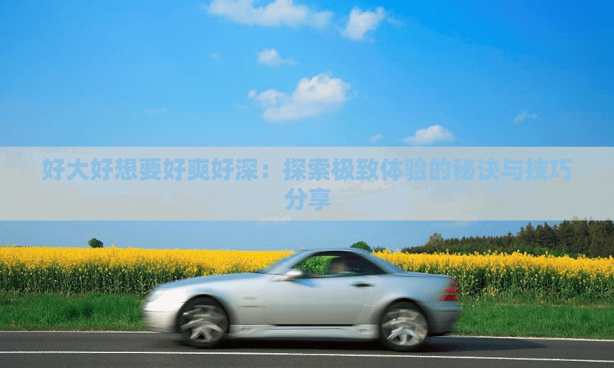好大好想要好爽好深：探索极致体验的秘诀与技巧分享