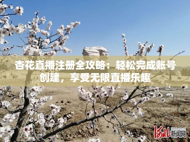 杏花直播注册全攻略：轻松完成账号创建，享受无限直播乐趣