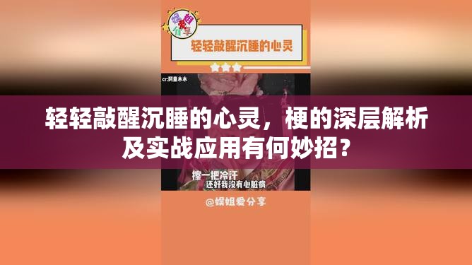 轻轻敲醒沉睡的心灵，梗的深层解析及实战应用有何妙招？