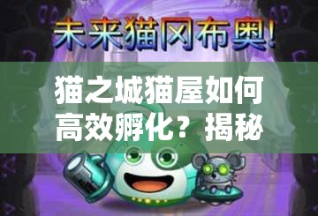 猫之城猫屋如何高效孵化？揭秘孵化攻略并预测未来玩法大革命！