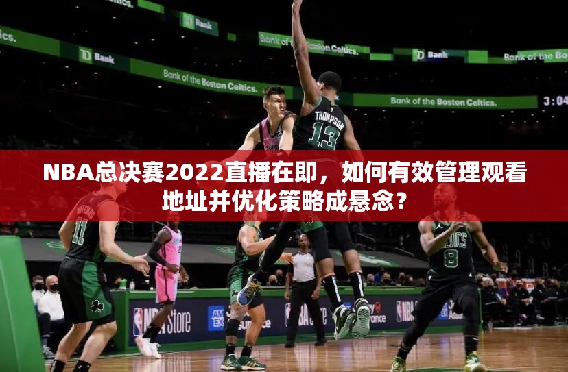 NBA总决赛2022直播在即，如何有效管理观看地址并优化策略成悬念？