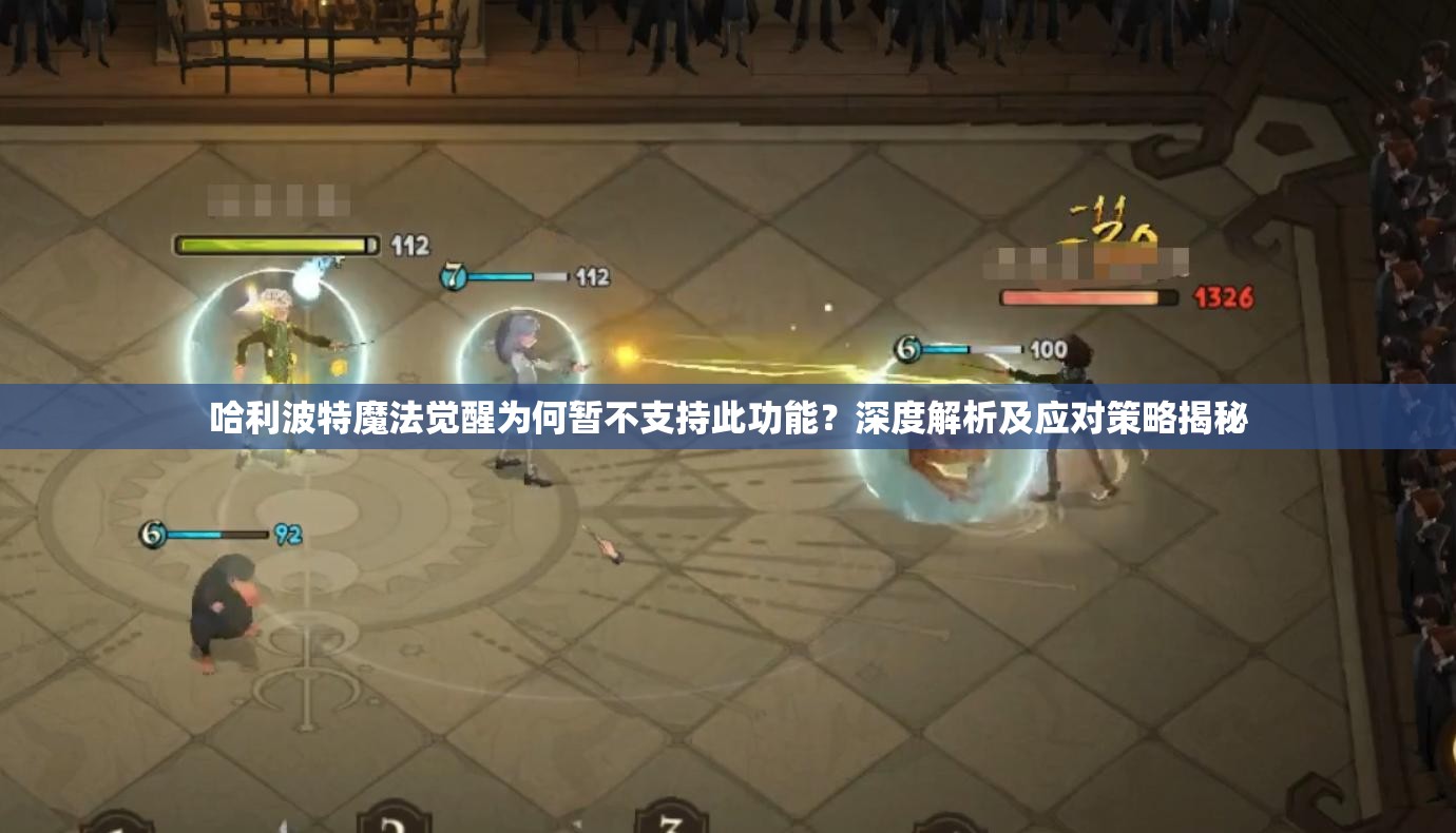 哈利波特魔法觉醒为何暂不支持此功能？深度解析及应对策略揭秘