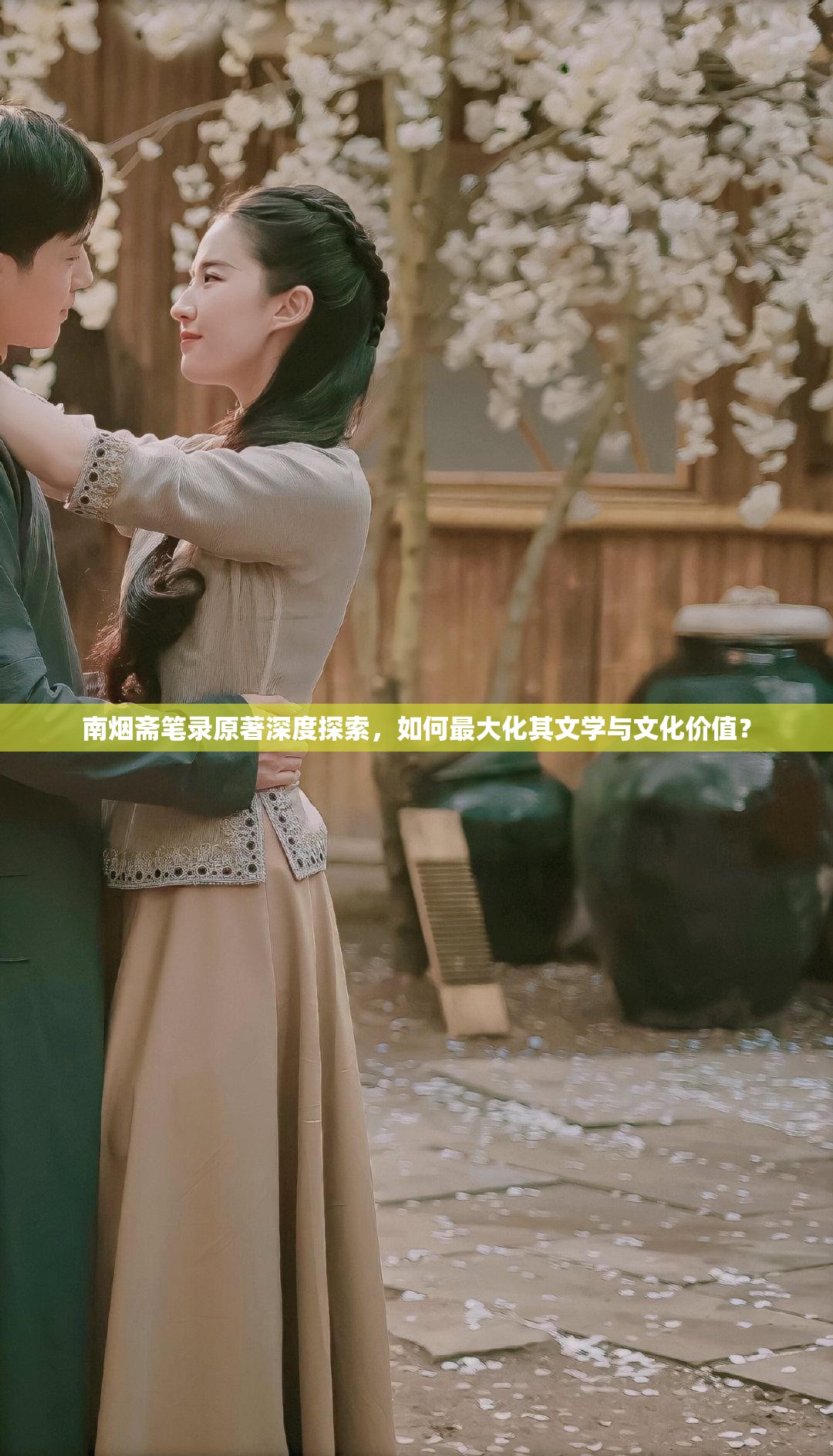 南烟斋笔录原著深度探索，如何最大化其文学与文化价值？