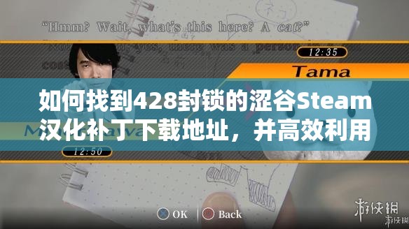 如何找到428封锁的涩谷Steam汉化补丁下载地址，并高效利用资源管理策略？