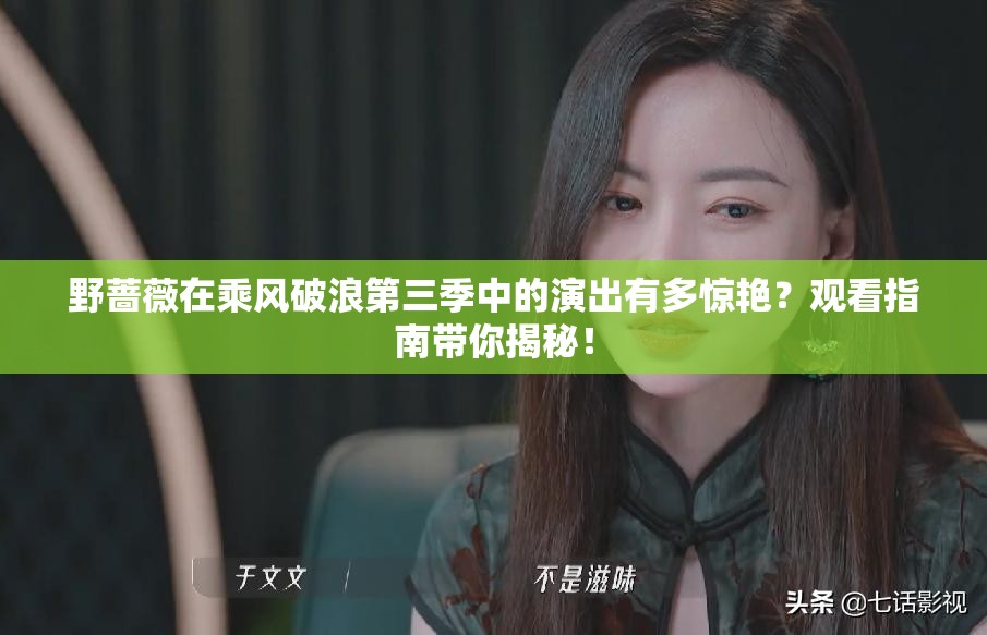野蔷薇在乘风破浪第三季中的演出有多惊艳？观看指南带你揭秘！