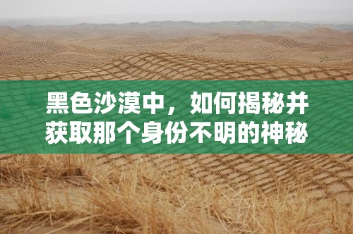 黑色沙漠中，如何揭秘并获取那个身份不明的神秘称号？