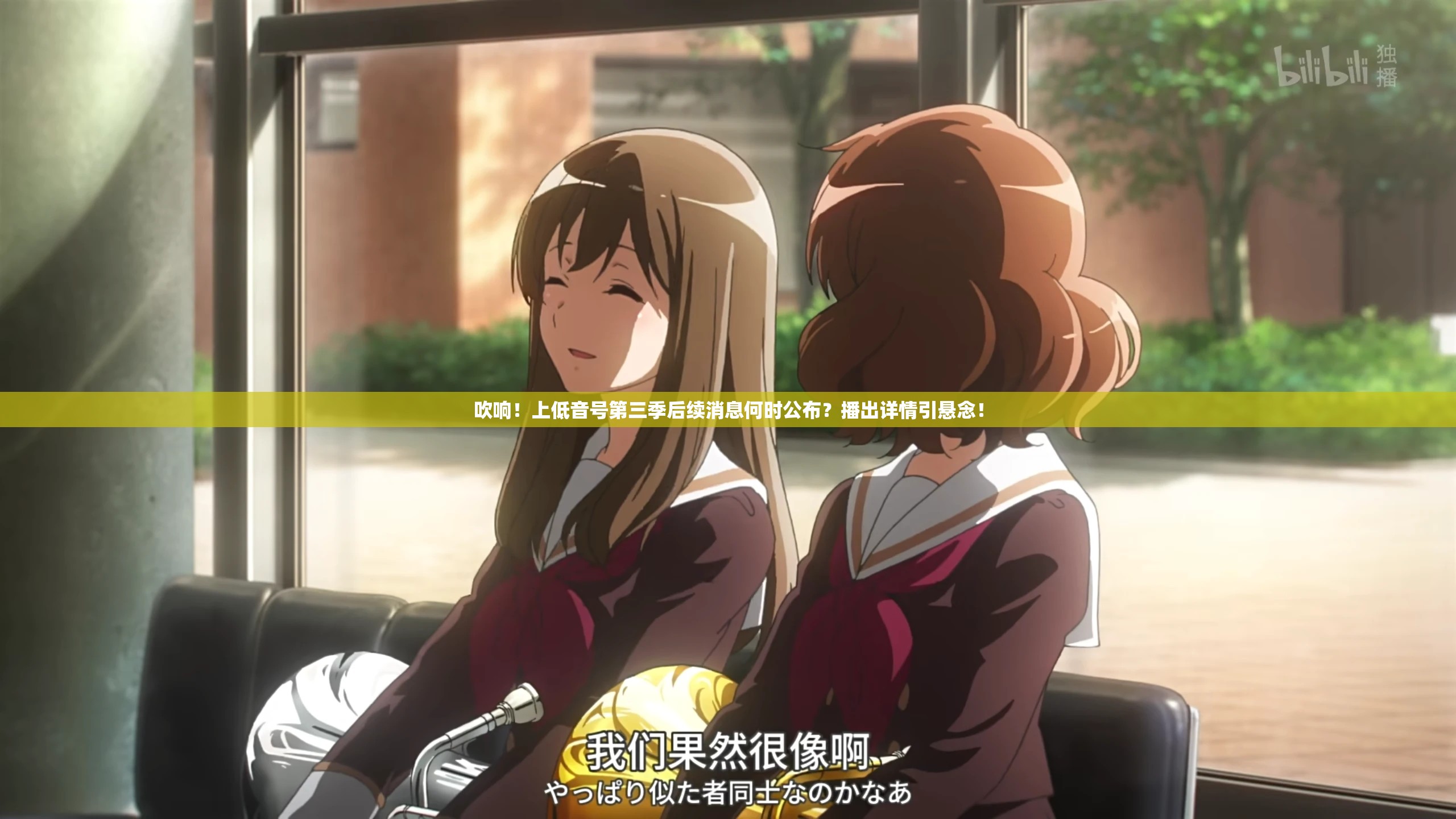 吹响！上低音号第三季后续消息何时公布？播出详情引悬念！