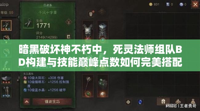 暗黑破坏神不朽中，死灵法师组队BD构建与技能巅峰点数如何完美搭配？